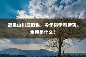 不学孟嘉狂落魄，故将白发向西风。的释义
