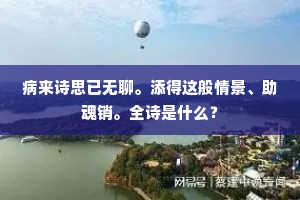 幽人睡起浑无事，半卷疏帘看晚霞。的释义