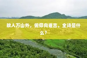 方惊掘地双鹅起，已见浮江五马来。的意思及出处