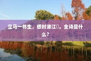 轻狂绝望的火花,照亮筚路蓝缕的暗夜 轻狂绝望的火花,照亮筚路蓝缕的暗夜