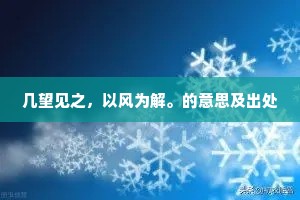 泪海中的孤岛,不哭的自由与真实 泪海中的孤岛,不哭的自由与真实