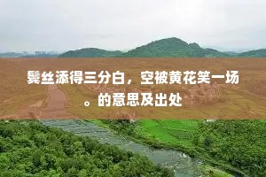 简练之诚,情深于言 —— 爱,在精简中见真章 简练之诚,情深于言 —— 爱,在精简中见真章