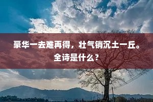 行走书海,爱绘灵魂,气质的深邃烙印 行走书海,爱绘灵魂,气质的深邃烙印