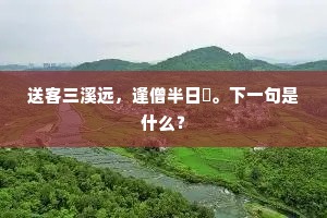 穷尽寻觅,或自得其乐,人生伴侣的哲学独白 穷尽寻觅,或自得其乐,人生伴侣的哲学独白