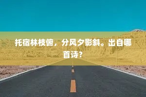 月光海影,真我之深,非镜可映 月光海影,真我之深,非镜可映