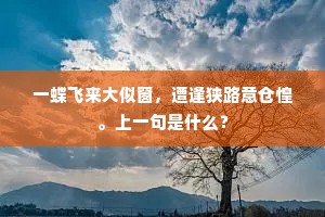 千金狐裘五丝鞭,一朝大笑长安乐。的意思及出处 千金狐裘五丝鞭,一朝大笑长安乐。的意思及出处