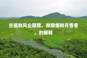 无人会得乘桴意,东面区区叹海洋。的解释 无人会得乘桴意,东面区区叹海洋。的解释