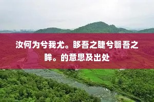 皓首穷经的解释 皓首穷经的解释