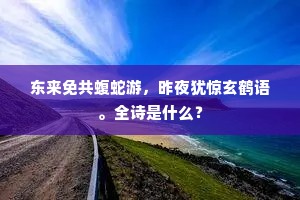 玄翁一室浑无白，谁识王龚贡鲍优。下一句是什么？