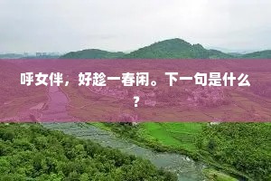 忽听哀吟清夜发,旅魂长绕墓门庐。上一句是什么? 忽听哀吟清夜发,旅魂长绕墓门庐。上一句是什么?