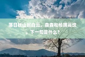 皓首苍颜的解释