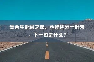 行人负荷泪欲流,舟子未行胆先落。的意思及出处 行人负荷泪欲流,舟子未行胆先落。的意思及出处