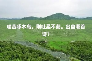 正音惊鸑鷟,恢网漏麒麟。出自哪首诗? 正音惊鸑鷟,恢网漏麒麟。出自哪首诗?