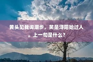 看花常入夜,玩月或侵晨。下一句是什么? 看花常入夜,玩月或侵晨。下一句是什么?