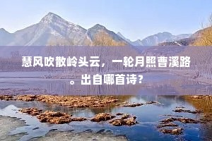 儒林谁作传,谁刻垄头珉。的释义 儒林谁作传,谁刻垄头珉。的释义
