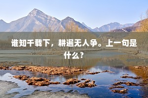 笔兼纸墨,砚子同为事。下一句是什么? 笔兼纸墨,砚子同为事。下一句是什么?