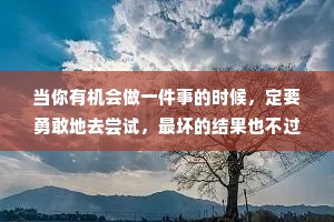当你有机会做一件事的时候，定要勇敢地去尝试，最坏的结果也不过是你不喜欢而已。