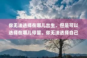 你无法选择在哪儿出生，但是可以选择在哪儿停留。你无法选择自己的身份，但可以选择和什么样的人来往。