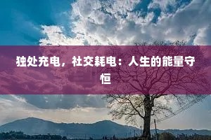 独处充电，社交耗电：人生的能量守恒