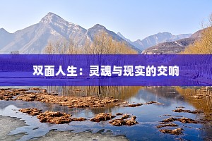 双面人生：灵魂与现实的交响