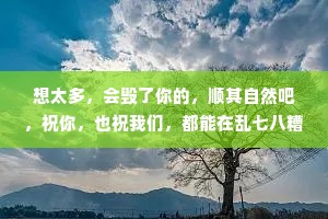 想太多，会毁了你的，顺其自然吧，祝你，也祝我们，都能在乱七八糟的生活里找到快乐。