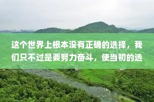 这个世界上根本没有正确的选择，我们只不过是要努力奋斗，使当初的选择变得正确。