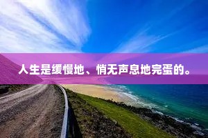 人生是缓慢地、悄无声息地完蛋的。