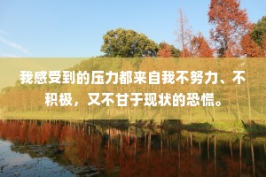 我感受到的压力都来自我不努力、不积极，又不甘于现状的恐慌。