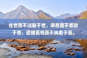 住世而不沾黏于世，承苦而不怨怼于苦，迎接喜悦而不执着于喜。
