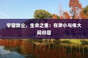 宇宙微尘，生命之重：在渺小与伟大间徘徊