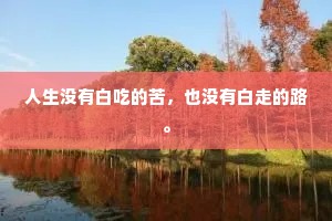 人生没有白吃的苦，也没有白走的路。