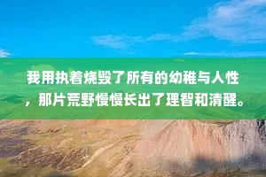 我用执着烧毁了所有的幼稚与人性，那片荒野慢慢长出了理智和清醒。