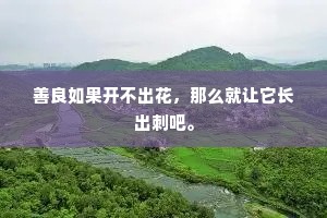 善良如果开不出花，那么就让它长出刺吧。