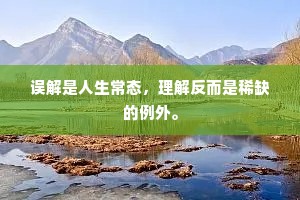 误解是人生常态，理解反而是稀缺的例外。