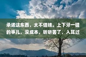 承诺这东西，太不值钱。上下牙一碰的事儿，没成本，听听罢了，入耳过，别上心。