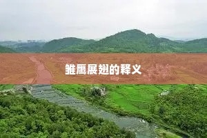 雏鹰展翅的释义