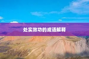 处实效功的成语解释