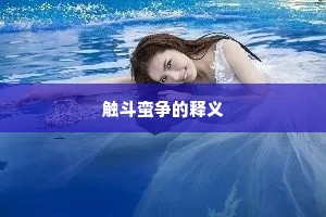 触斗蛮争的释义