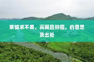 青春理想之殇,年轻不是错,错在轻言答案 青春理想之殇,年轻不是错,错在轻言答案