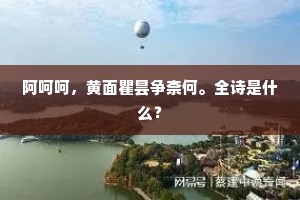 轰雷掣电的成语解释 轰雷掣电的成语解释