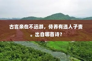 婚礼喧嚣下的孤独独白,爱里的独行与共鸣 婚礼喧嚣下的孤独独白,爱里的独行与共鸣