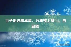 乞丐之妒,人性深渊与自我觉醒的镜像 乞丐之妒,人性深渊与自我觉醒的镜像