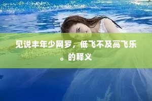 鸿渐之翼的成语解释 鸿渐之翼的成语解释