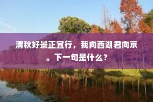 悚动西南底不平,触于金石碎鏦铮。的解释 悚动西南底不平,触于金石碎鏦铮。的解释