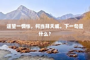 风起惟催雾，天空故纵云。的释义