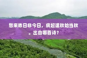 南临大河曲，北倚首阳岑。的解释