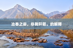 可奈玉骢嘶断，夕阳芳草无春。的释义