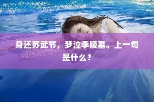 可堪吾道陵夷日，夜海苍茫对子游。下一句是什么？