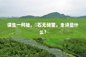 一尊且寿罗浮酒，莫笑疏家少赐金。出自哪首诗？