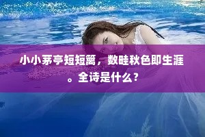 归向沧洲近十春，始持宪节出风尘。下一句是什么？